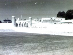 Mula Antigua serie-2